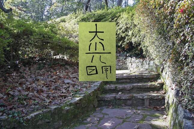 Reiki Essencial