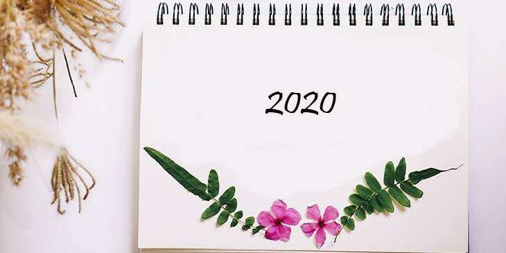 como será o ano de 2020