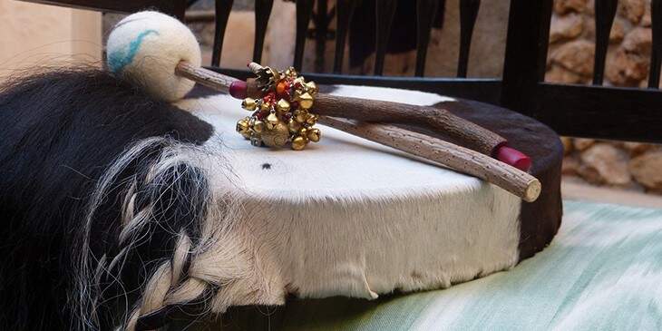 Animais de poder do xamanismo