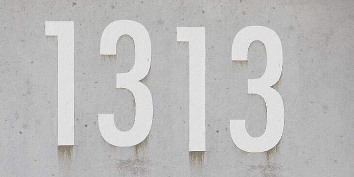 significado 1313