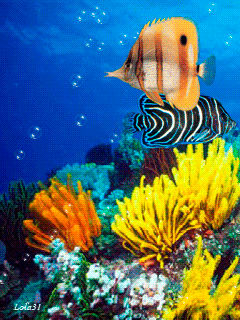 animal de cada signo - virgem animal de cada signo - virgem