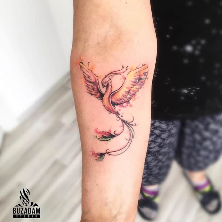 fenix-significado-espiritual-4