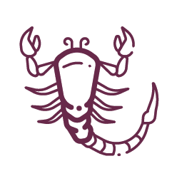 icone-astrologia-escorpiao-2@4x